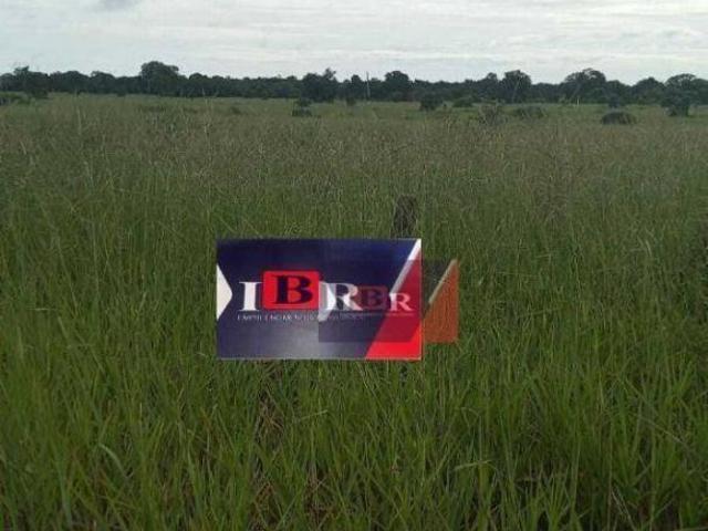 Sítio e chácara venda em Região Geográfica Imediata de Barra do Garças, Araguaiana