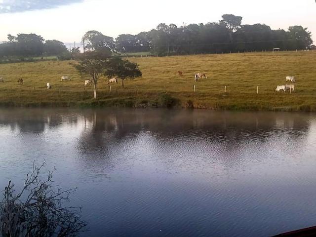 Fazenda venda em Brumadinho, Região Geográfica Intermediária de Belo Horizonte