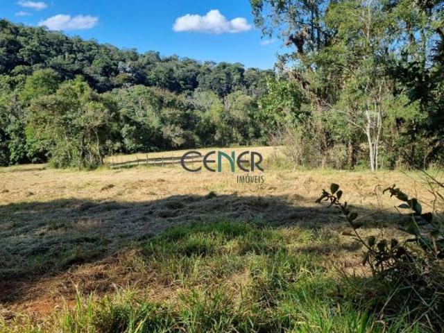 Terreno venda em Região Geográfica Imediata de Conselheiro Lafaiete, Conselheiro Lafaiete