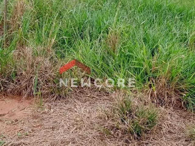 Sítio e chácara venda em Fernão