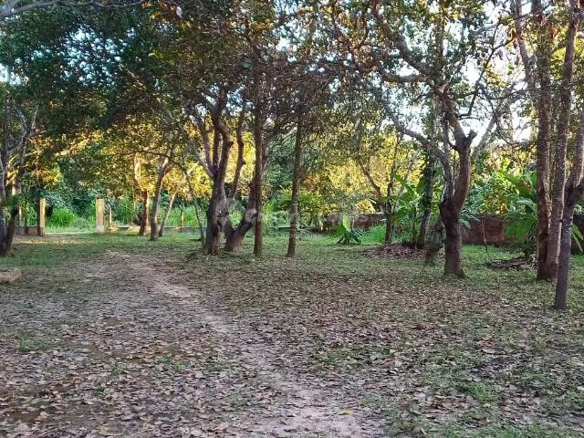 Fazenda venda em Teresina, Região Geográfica Intermediária de Teresina