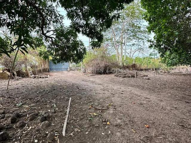 Fazenda venda em Teresina, Região Geográfica Intermediária de Teresina