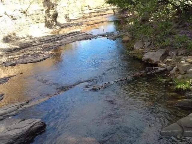 Sítio e chácara venda em Região Geográfica Imediata do Distrito Federal, Região Integrada de Desenvolvimento do Distrito Federal e Entorno