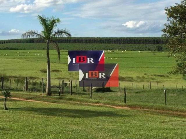 Sítio e chácara venda em Avaí