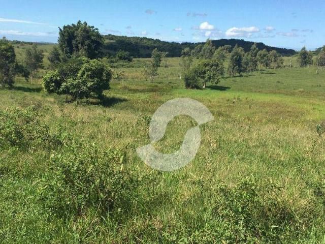 Fazenda venda em São Vicente de Paula, Araruama