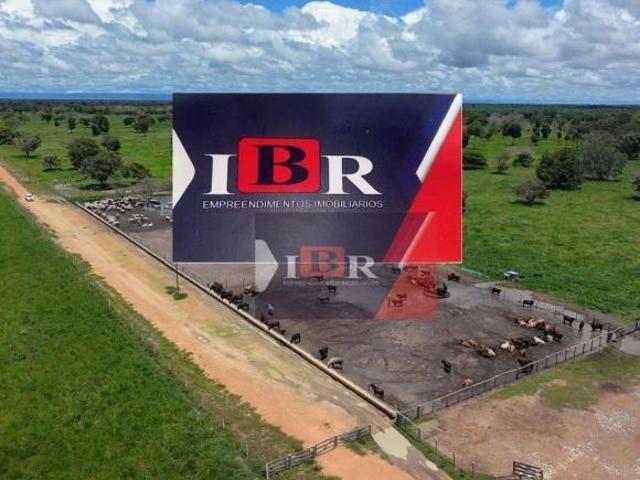 Sítio e chácara venda em Região Geográfica Imediata de Barra do Garças, Barra do Garças