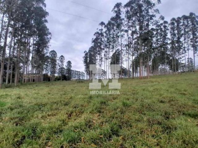 Sítio e chácara venda em Região Geográfica Imediata de Três Pontas - Boa Esperança, Boa Esperança