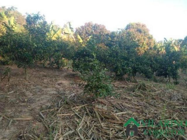 Sítio e chácara venda em Região Geográfica Imediata de Itabira, Bom Jesus do Amparo