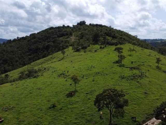 Sítio e chácara venda em Região Geográfica Imediata de Oliveira, Bonfim