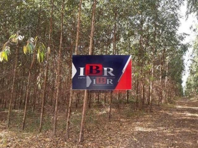 Sítio e chácara venda em Região Imediata de Botucatu, Botucatu