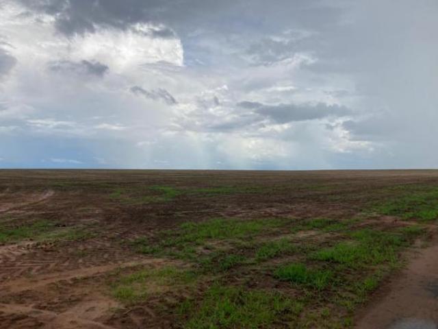 Sítio e chácara venda em Região Geográfica Imediata de Tangará da Serra, Brasnorte