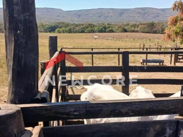 Sítio e chácara venda em Buritis