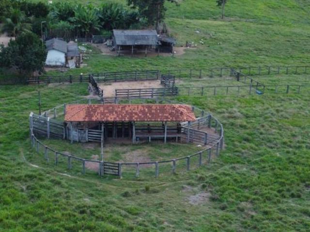 Sítio e chácara venda em Região Geográfica Imediata de Cáceres, Antônio João