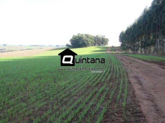 Sítio e chácara venda em Capané, Cachoeira do Sul
