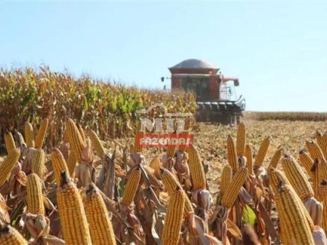 Fazenda venda em Região Geográfica Imediata de Jataí-Mineiros, Caiapônia
