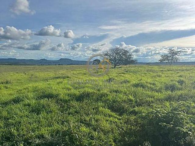 Sítio e chácara venda em Região Geográfica Imediata de Jataí-Mineiros, Caiapônia