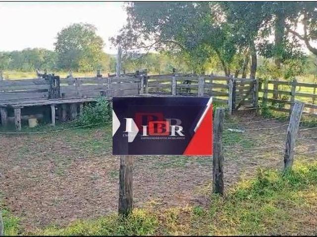 Sítio e chácara venda em Região Geográfica Imediata de Campo Grande, Camapuã