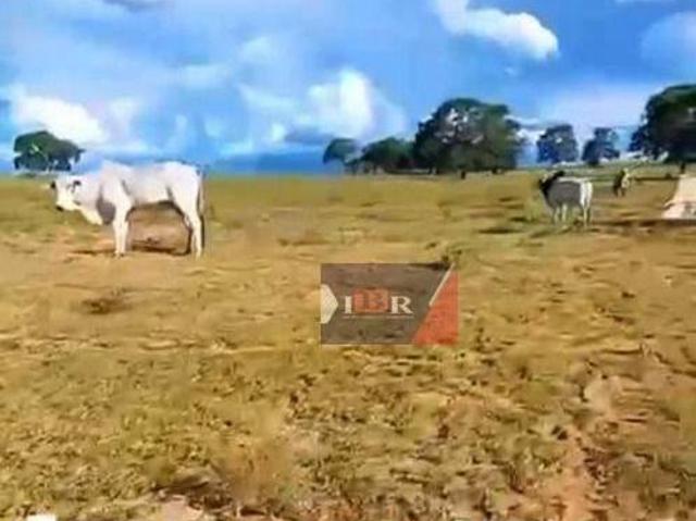 Sítio e chácara venda em Região Geográfica Imediata de Campo Grande, Camapuã