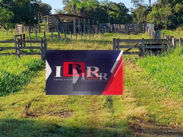 Sítio e chácara venda em Região Geográfica Imediata de Campo Grande, Camapuã