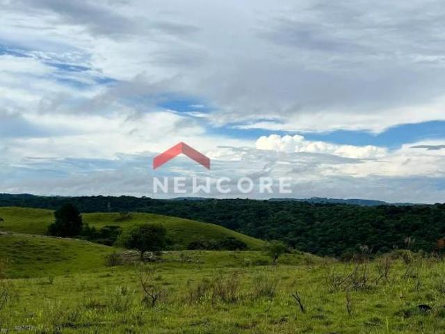 Sítio e chácara venda em Região Geográfica Imediata de Santo Antônio da Platina, Cambará