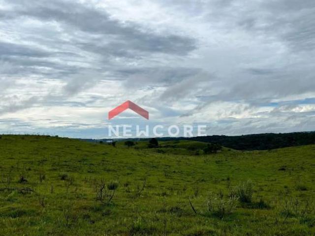 Sítio e chácara venda em Região Geográfica Imediata de Santo Antônio da Platina, Cambará