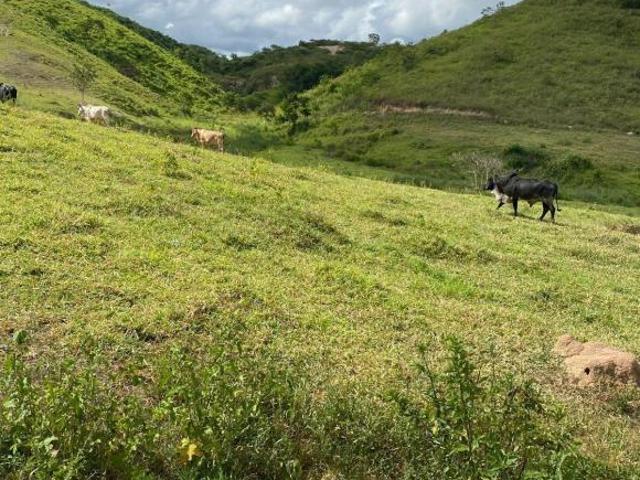 Sítio e chácara venda em Região Geográfica Imediata de Teófilo Otoni, Campanário