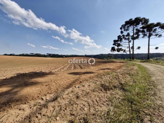 Sítio e chácara venda em Região Geográfica Imediata de Curitiba, Região Metropolitana de Curitiba