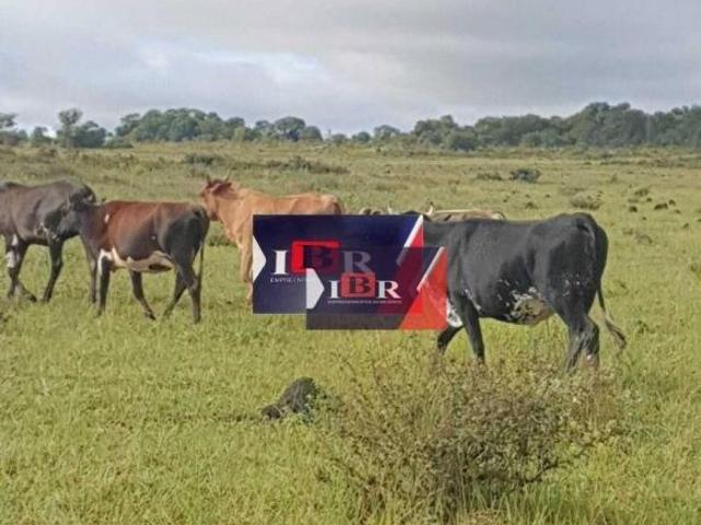 Sítio e chácara venda em Região Geográfica Imediata de Campo Grande, Campo Grande