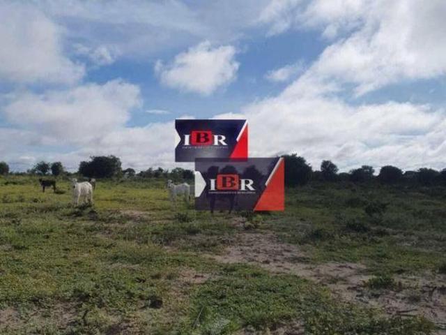 Sítio e chácara venda em Região Geográfica Imediata de Campo Grande, Campo Grande