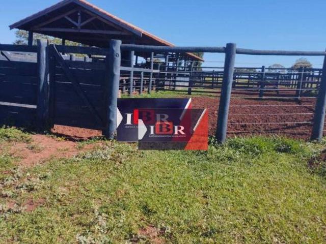 Sítio e chácara venda em Região Geográfica Imediata de Campo Grande, Campo Grande