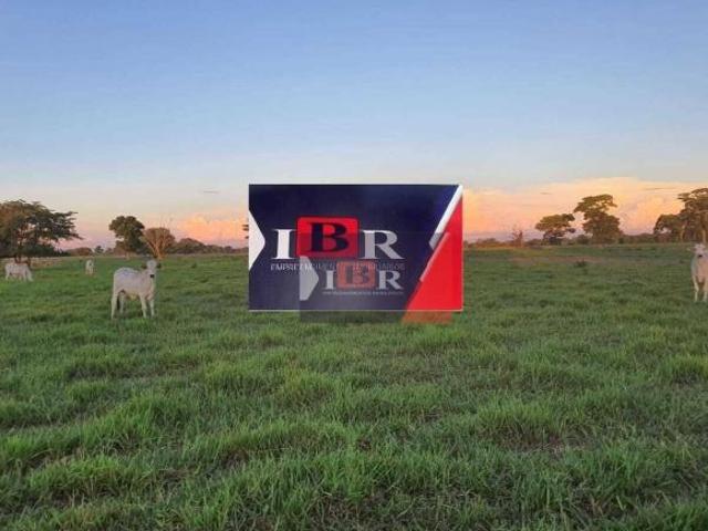 Sítio e chácara venda em Região Geográfica Imediata de Campo Grande, Campo Grande
