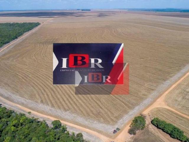 Sítio e chácara venda em Região Geográfica Imediata de Tangará da Serra, Campo Novo do Parecis