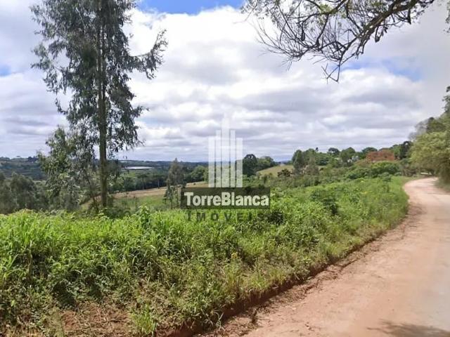 Fazenda venda em Região Geográfica Imediata de Ponta Grossa, Carambei