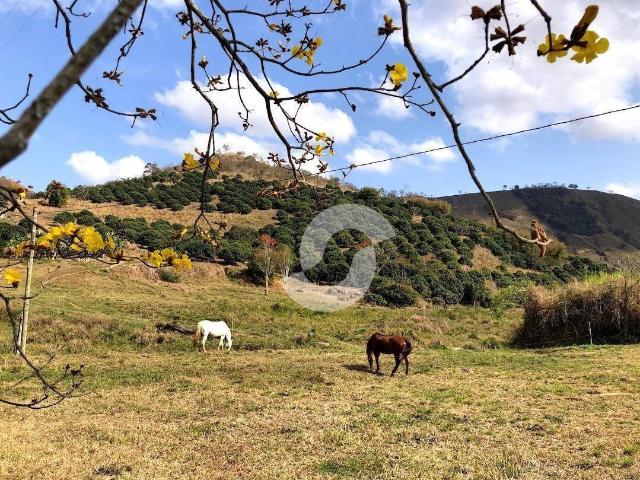 Fazenda venda em Região Geográfica Imediata de Nova Friburgo, Carmo