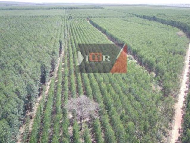 Sítio e chácara venda em Região Geográfica Imediata de Paranaíba - Chapadão do Sul - Cassilândia, Cassilândia
