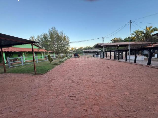 Fazenda venda em Região Geográfica Imediata de Timon, Região Integrada de Desenvolvimento da Grande Teresina