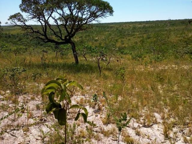 Sítio e chácara venda em Região Geográfica Imediata de Unaí, Formoso