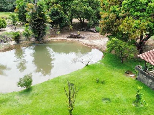 Sítio e chácara venda em Região Geográfica Imediata de Goiás - Itapuranga, Goiás