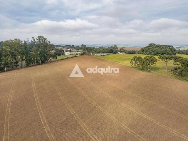 Fazenda venda em Palmeira, Região Geográfica Intermediária de Ponta Grossa