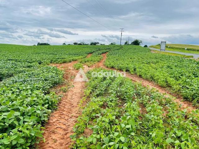 Fazenda venda em Região Geográfica Imediata de Ponta Grossa, Ponta Grossa