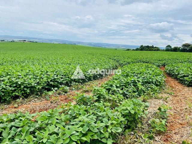 Fazenda venda em Ponta Grossa, Região Geográfica Intermediária de Ponta Grossa