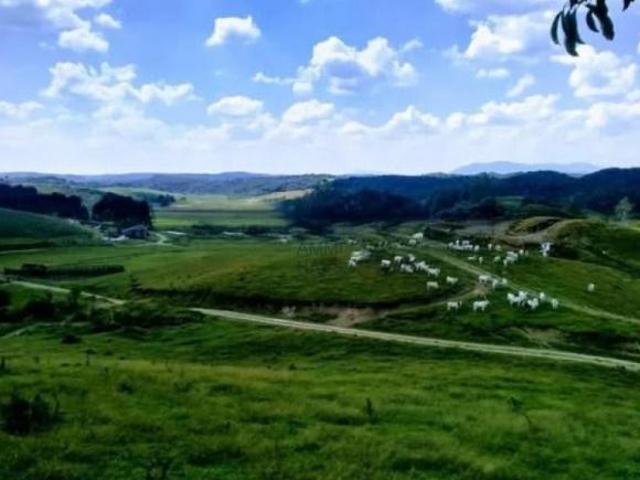 Sítio e chácara venda em Região Geográfica Imediata de Curitiba, Região Metropolitana de Curitiba