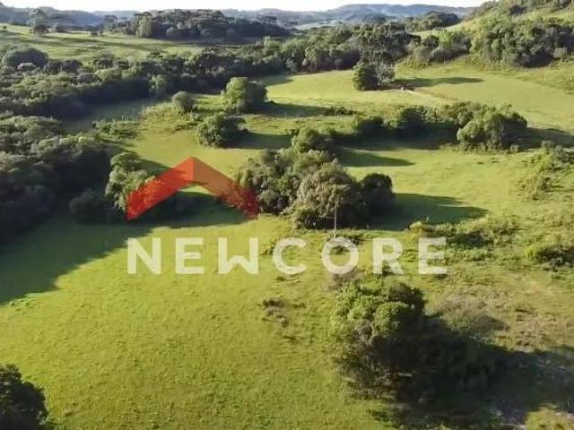 Sítio e chácara venda em Criúva, Caxias do Sul