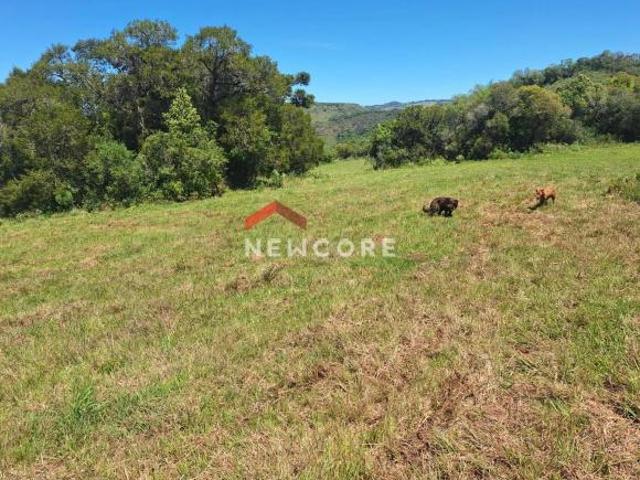 Sítio e chácara venda em Região Geográfica Imediata de Caxias do Sul, Caxias do Sul