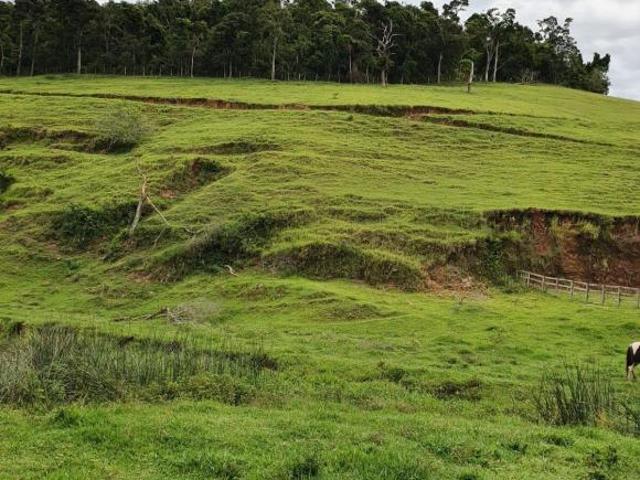 Sítio e chácara venda em Região Imediata de Guaratinguetá, Região Metropolitana do Vale do Paraíba e Litoral Norte