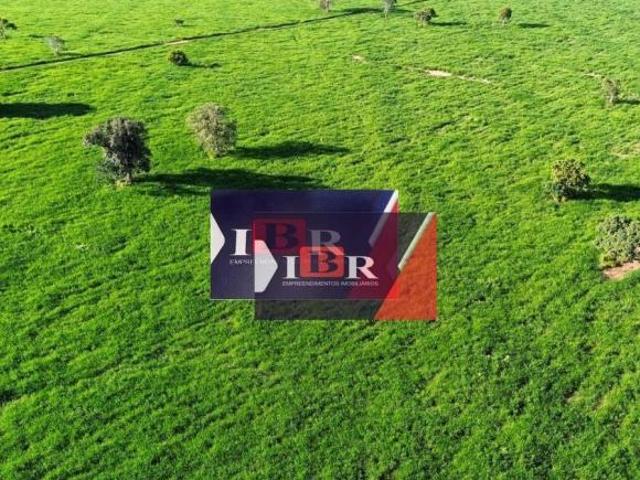 Sítio e chácara venda em Região Geográfica Imediata de Barra do Garças, Barra do Garças