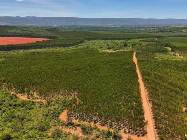 Sítio e chácara venda em Região Geográfica Imediata de Diamantina, Diamantina