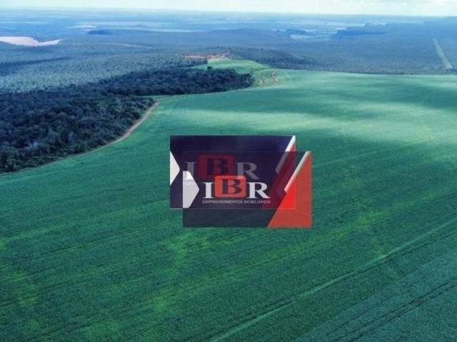 Sítio e chácara venda em Região Geográfica Imediata de Diamantino, Diamantino