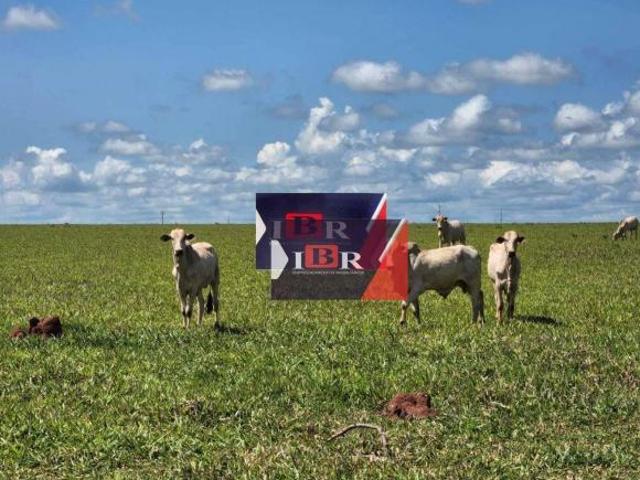 Sítio e chácara venda em Região Geográfica Imediata de Campo Grande, Dois Irmãos do Buriti