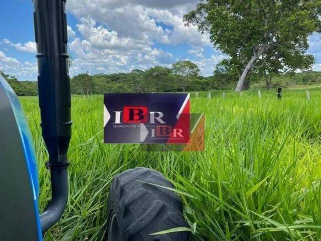 Sítio e chácara venda em Região Geográfica Imediata de Campo Grande, Dois Irmãos do Buriti